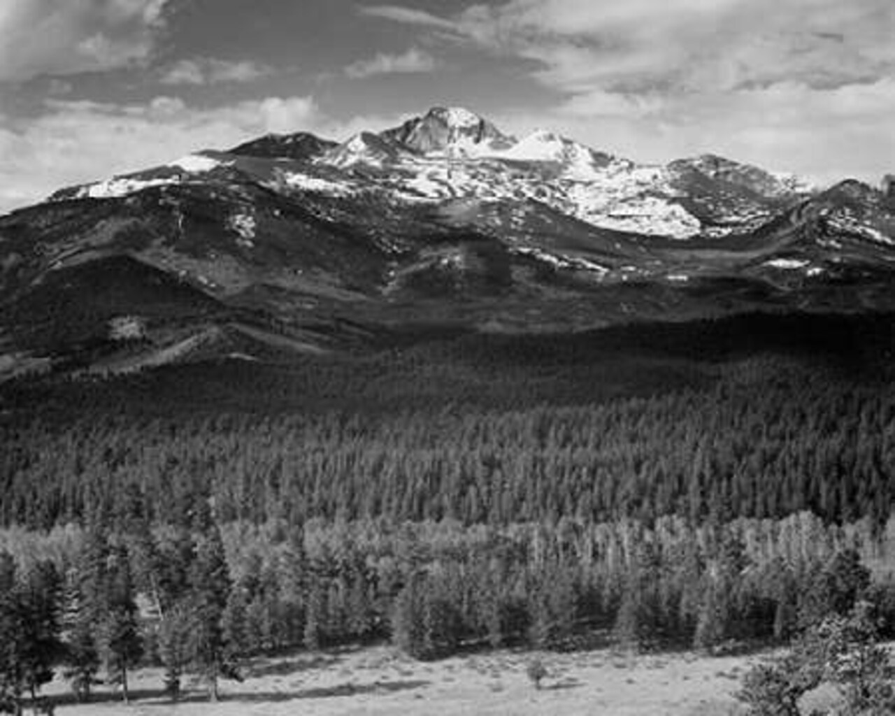 Trees in foreground, snow covered mountain in background, in Rocky Mountain National Park, Colorado, Poster Print by Ansel Adams - Item # VARPDX460960